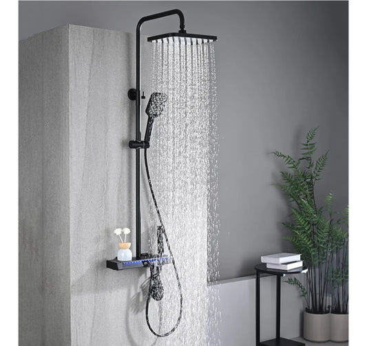 Thermostatic Shower system